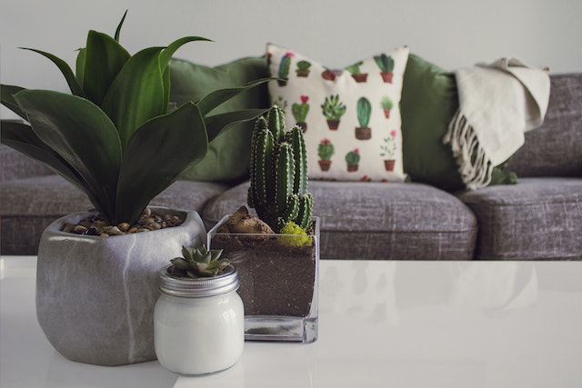 Duurzaam Wonen: Hoe Je Je Interieur Eco-vriendelijk Maakt